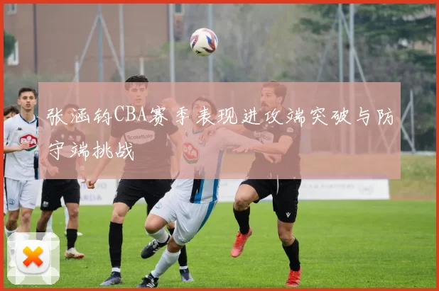 张涵钧CBA赛季表现进攻端突破与防守端挑战