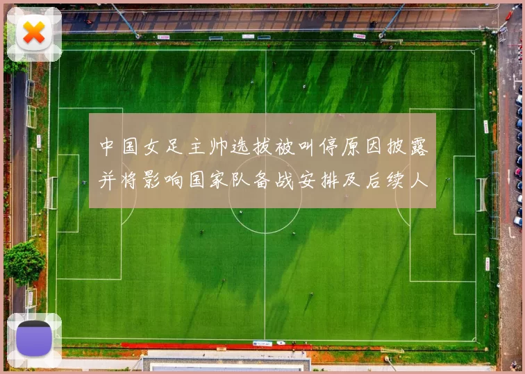 中国女足主帅选拔被叫停原因披露并将影响国家队备战安排及后续人选