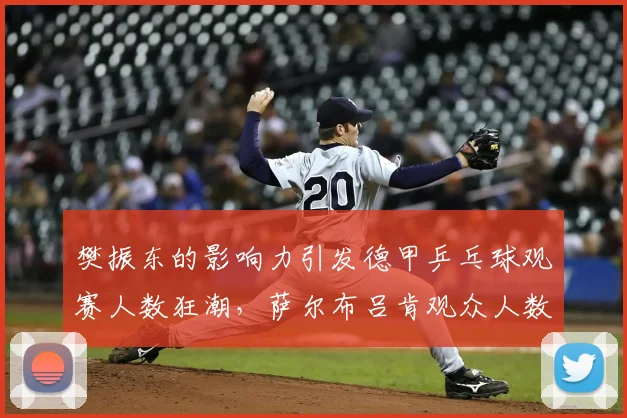 樊振东的影响力引发德甲乒乓球观赛人数狂潮，萨尔布吕肯观众人数增长三倍_杜塞尔多夫_本赛季_中国